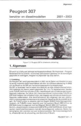 Peugeot 307, 2001 - 2003