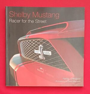 Shelby Mustang racer for the street