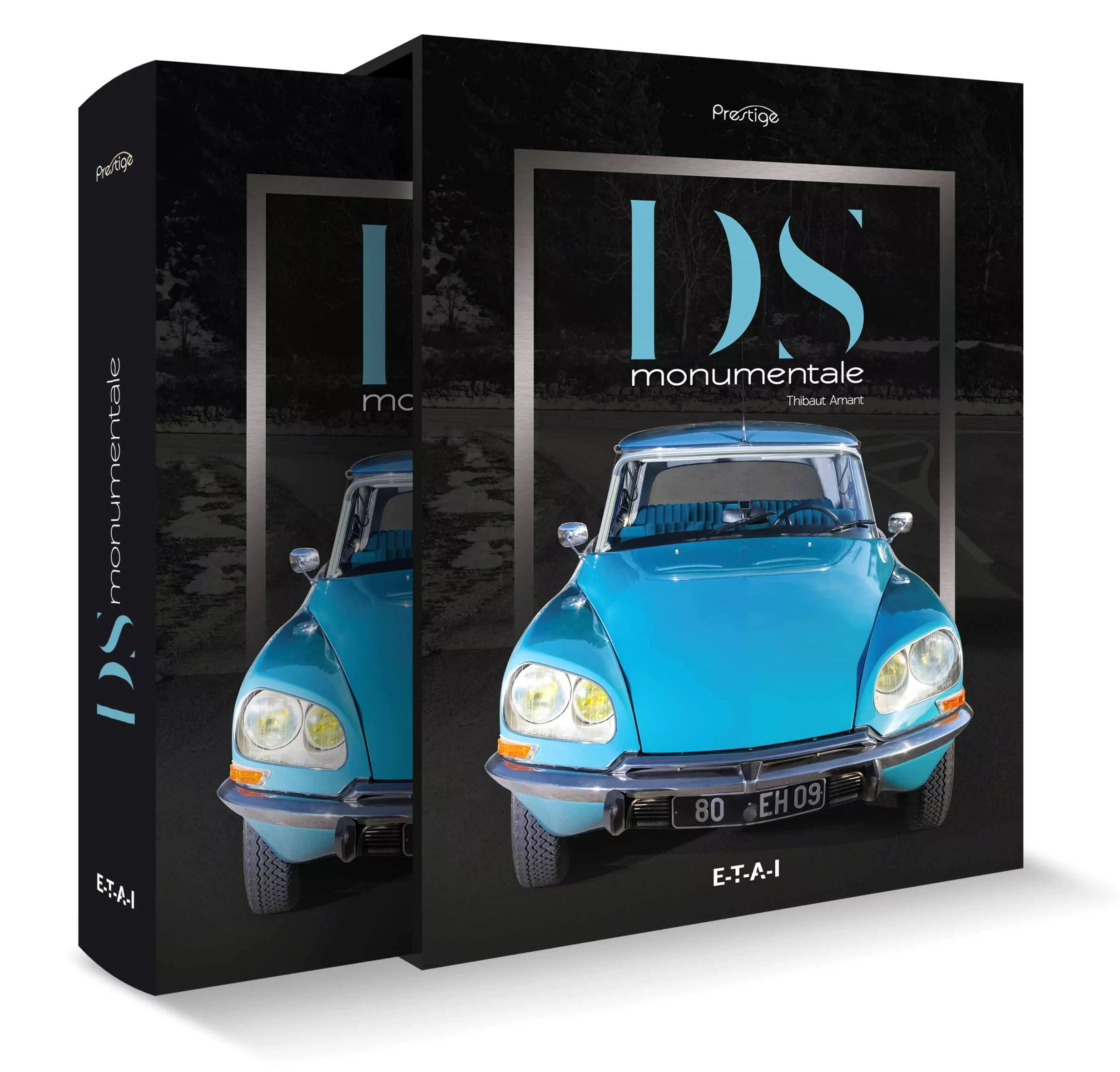 Citroën DS, monumentale - Afbeelding 2
